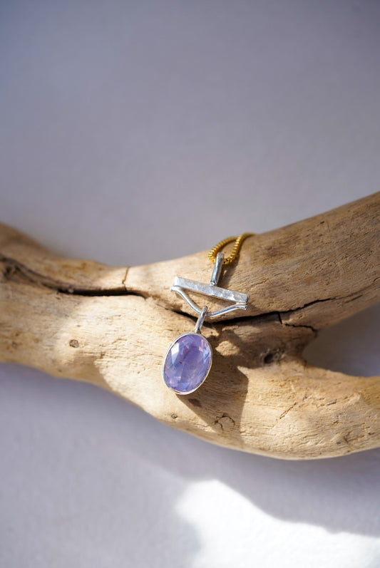 Necklace with a purple gemstone on a piece of driftwood against a plain background