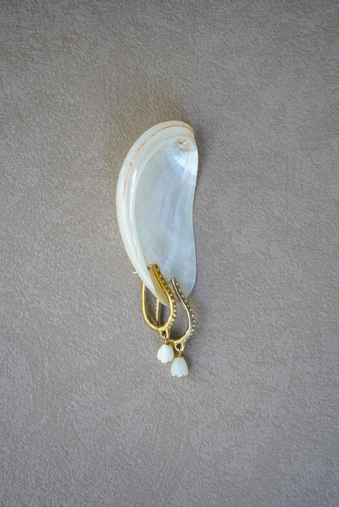 Shell with a gold earring featuring a pearl on a gray background