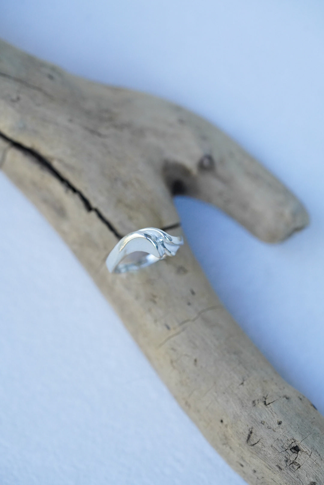 Silver ring on a piece of driftwood with a white background