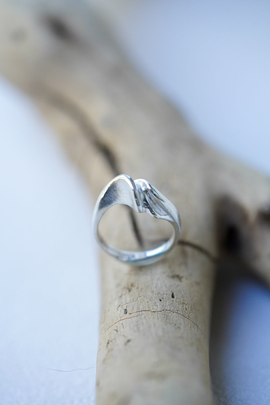 Silver ring on a piece of driftwood with a blurred background