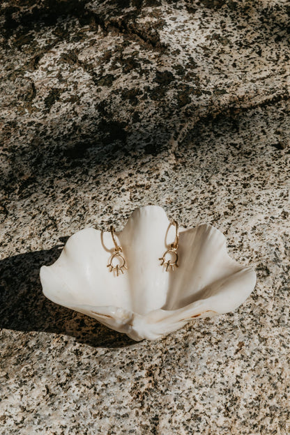 Gold earrings on a white shell against a textured stone background